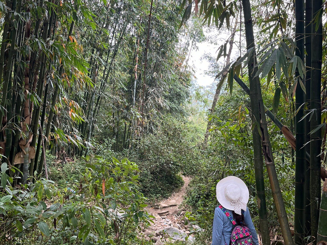 LaLa SaPa Trekking Tour景点图片