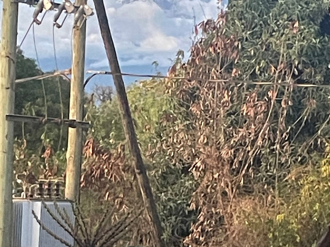 The Comfy Stay Hotel主图