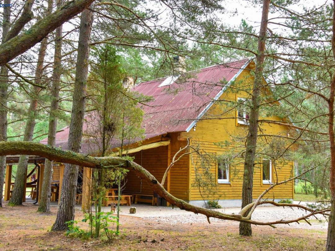 Kempings Videnieki
