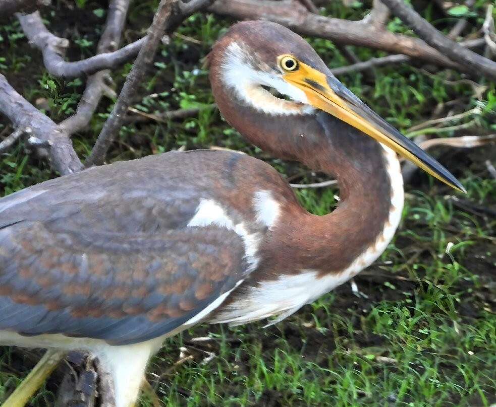 Fred W. Coyle Freedom Park-那不勒斯必去景点