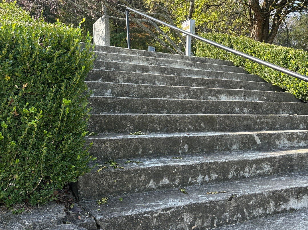 Confederate Memorial Park at Winstead Hill-富兰克林必去景点