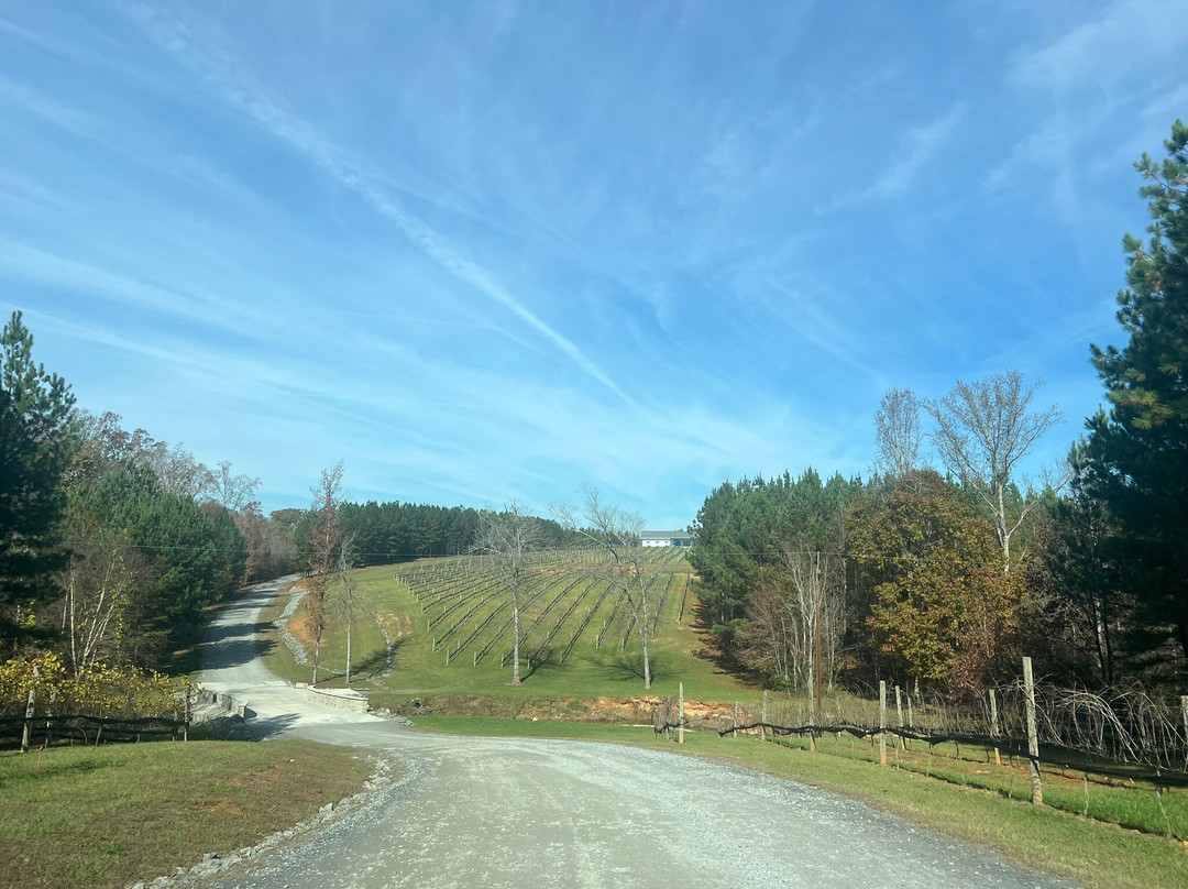 Veronet Vineyard & Winery-Kings Mountain必去景点