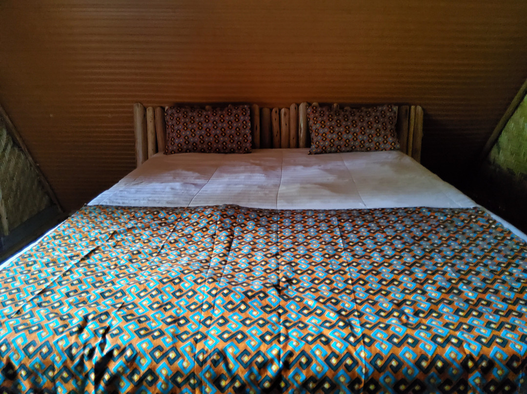 Volcanoes Forest Camp主图