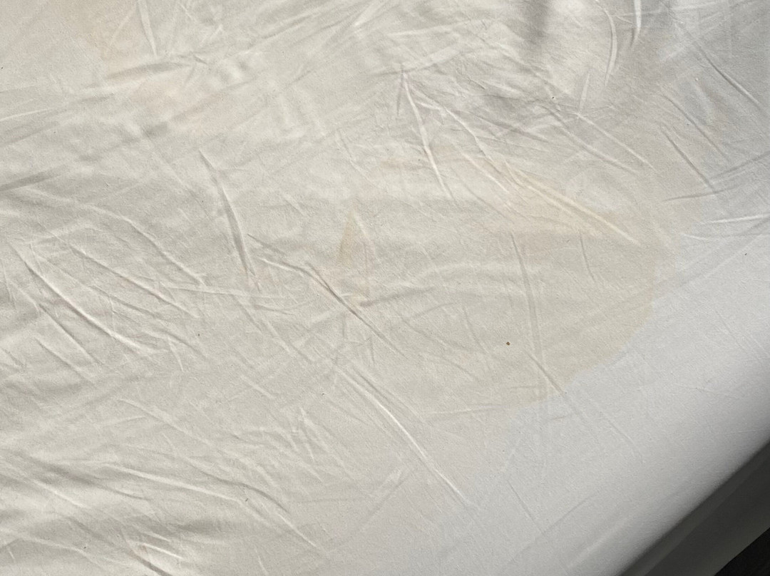 Hotel de Heerlickheijd van Ermelo主图