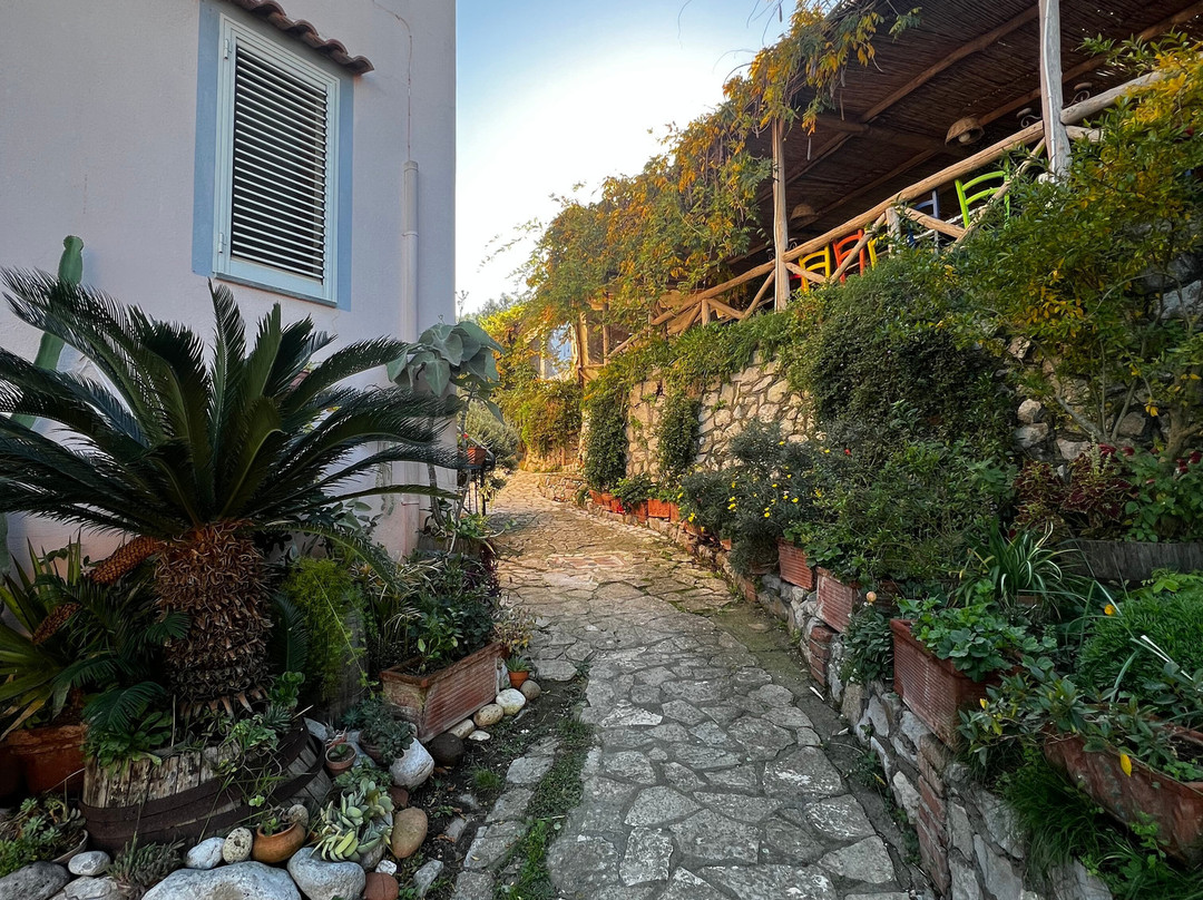 Giardino 21 Marzo主图