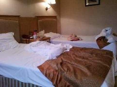 南京华山饭店主图