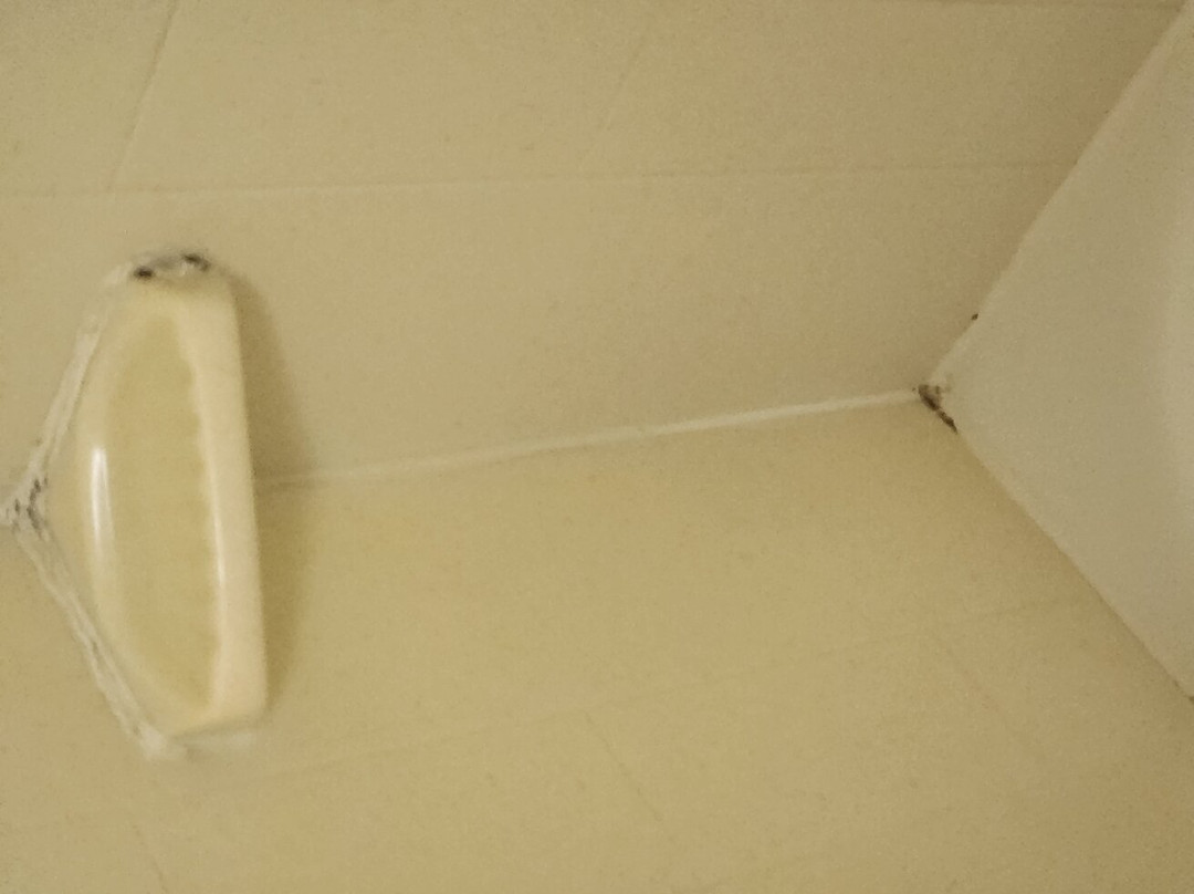 新伯尔尼希尔顿恒庭酒店主图