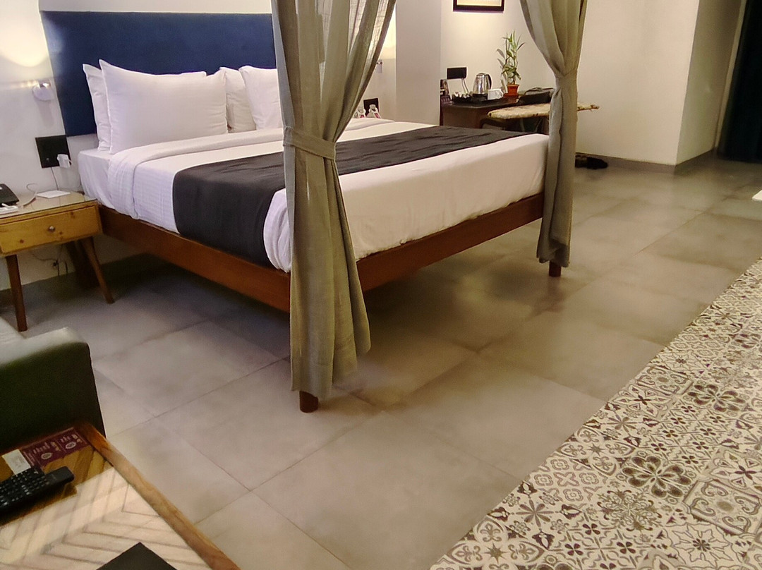 帕拉西奥德果阿酒店主图