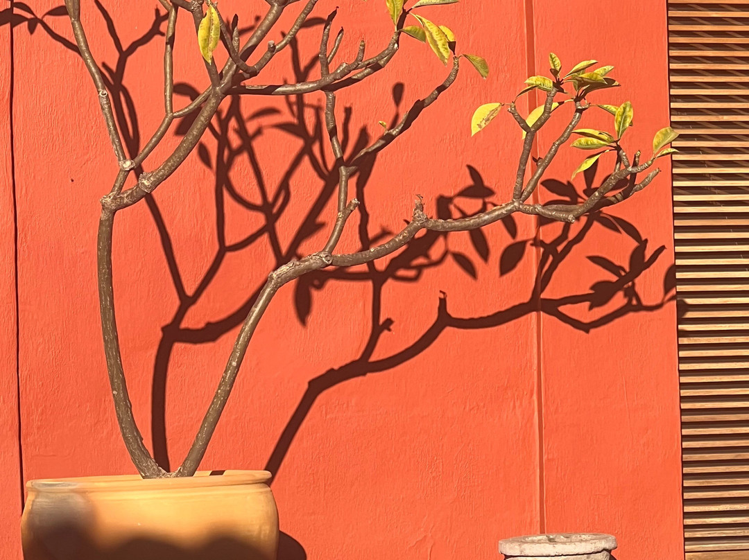 Hotel La Casona De Tita主图