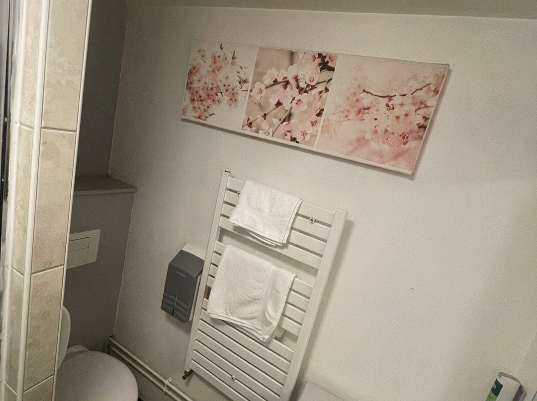 厄拉德酒店主图