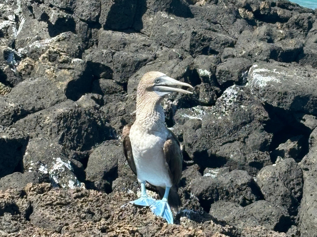 Islanders Galapagos Tour Agency and Operator-Puerto Baquerizo Moreno必去景点