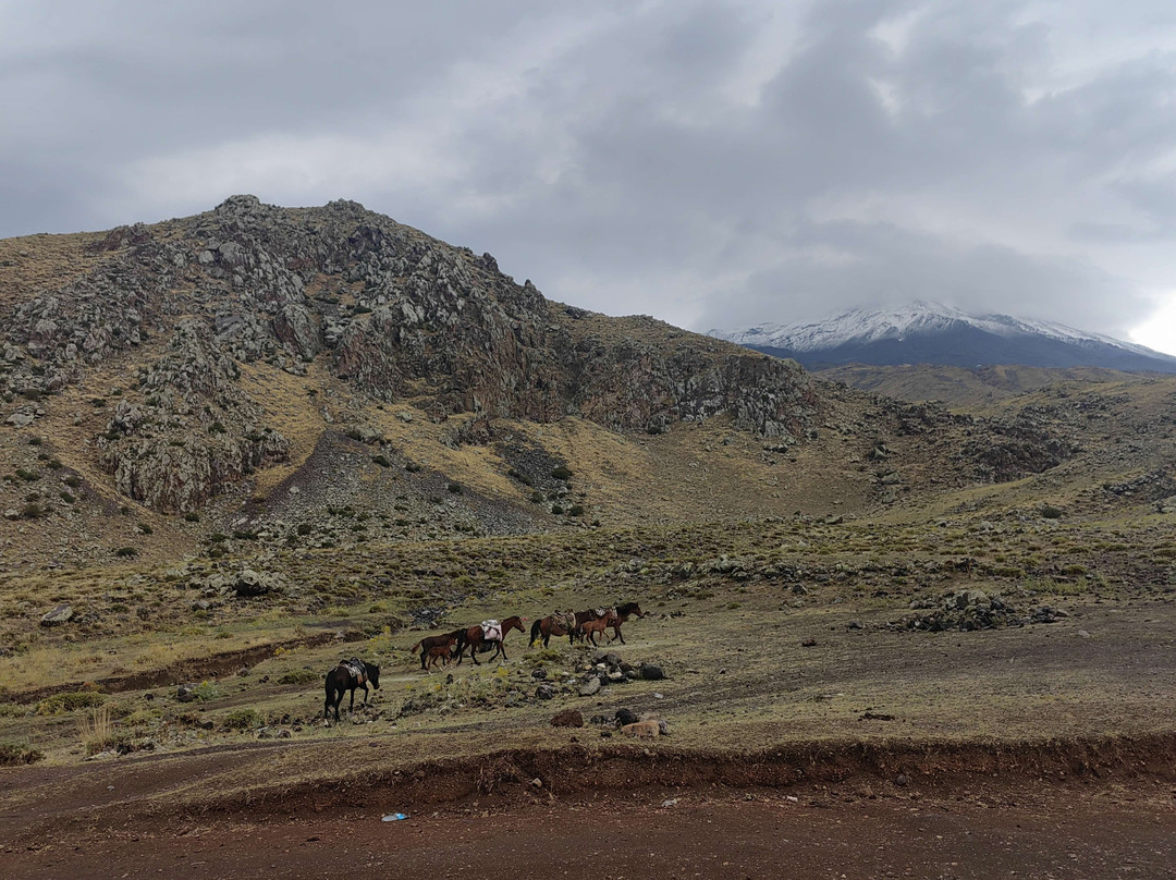 Two Ararat - Mount Ararat Climbing Tours Operator-Dogubeyazit必去景点