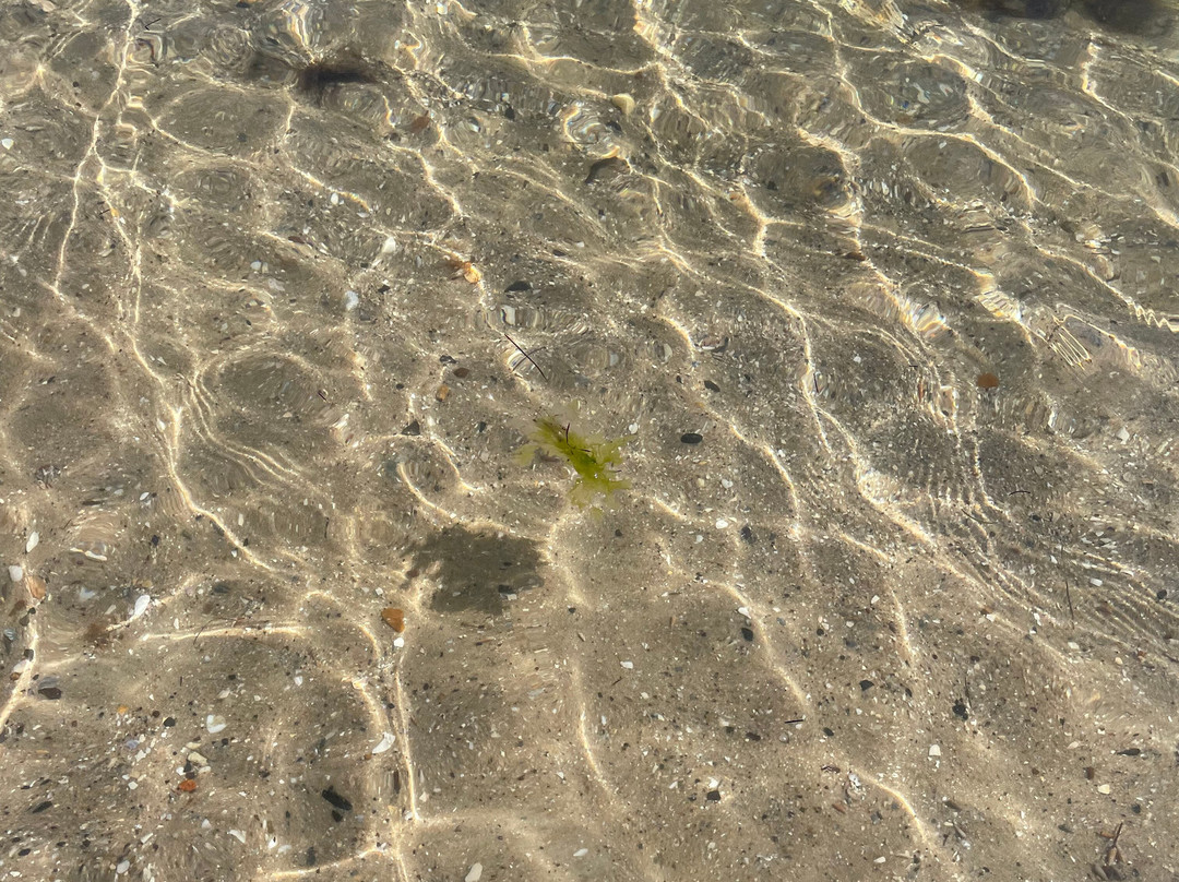 Portarlington Beach-Portarlington必去景点