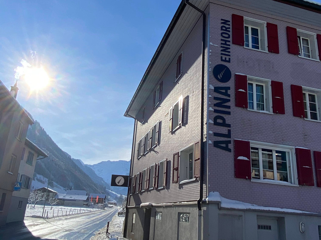 Hotel Alpina Einhorn主图