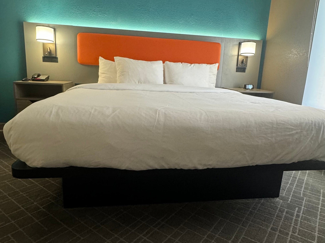 Comfort Inn & Suites- Clemson University Area主图