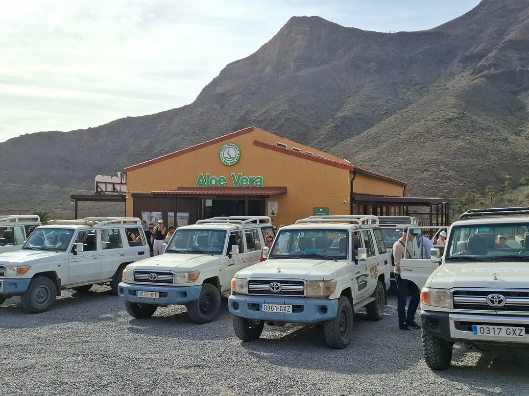 Viajes Tara Excursiones景点图片