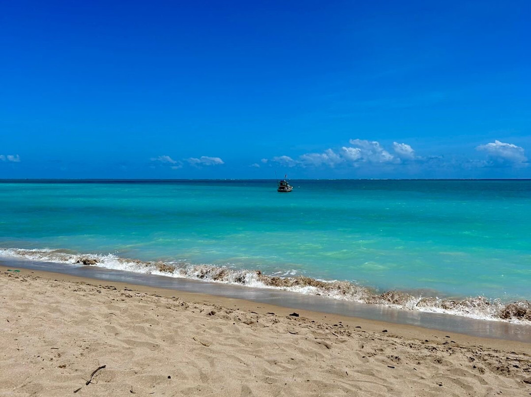 Praia Burgalhau-Maragogi必去景点