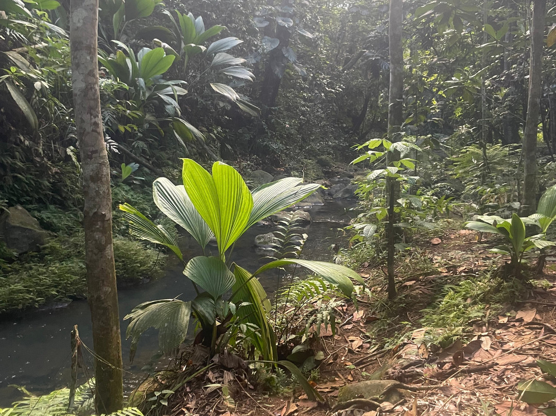 La Cascade de Bis-Sainte Rose必去景点