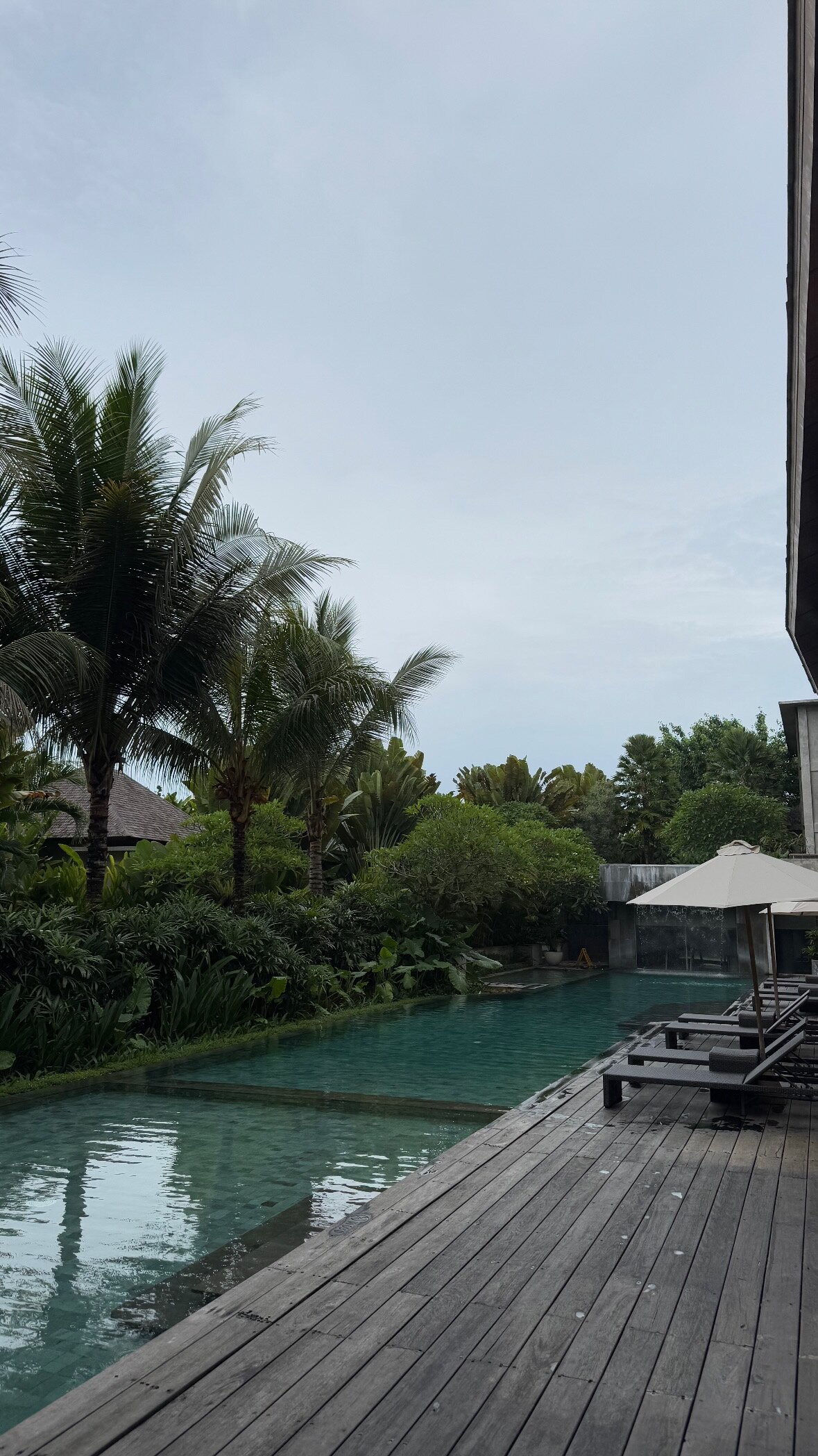 The Garcia Ubud-泳池