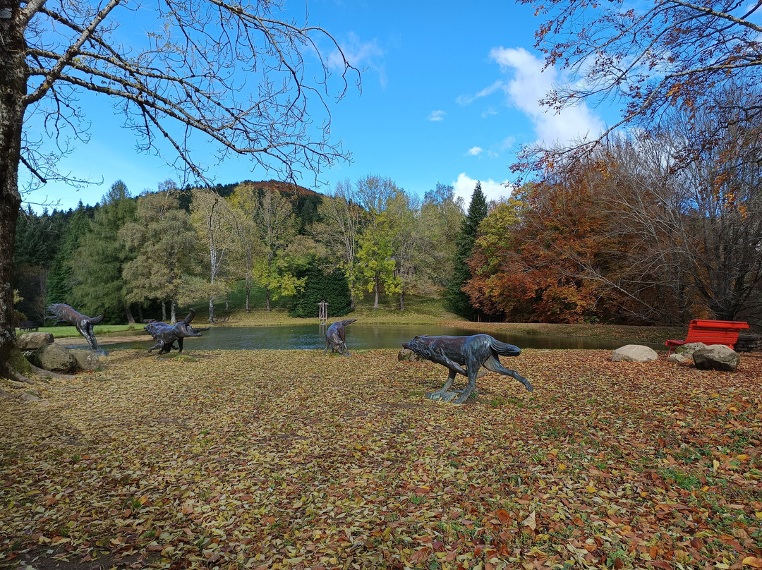 Parco dell'Orecchiella景点图片