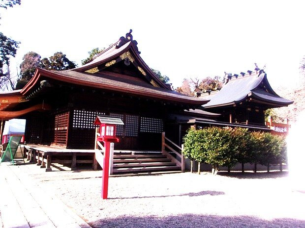 Washinomiya Shrine-久喜市必去景点