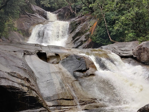 Tropic Tours-凯恩斯必去景点