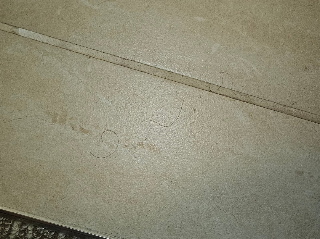 罗厄诺克拉皮兹希尔顿花园旅馆主图