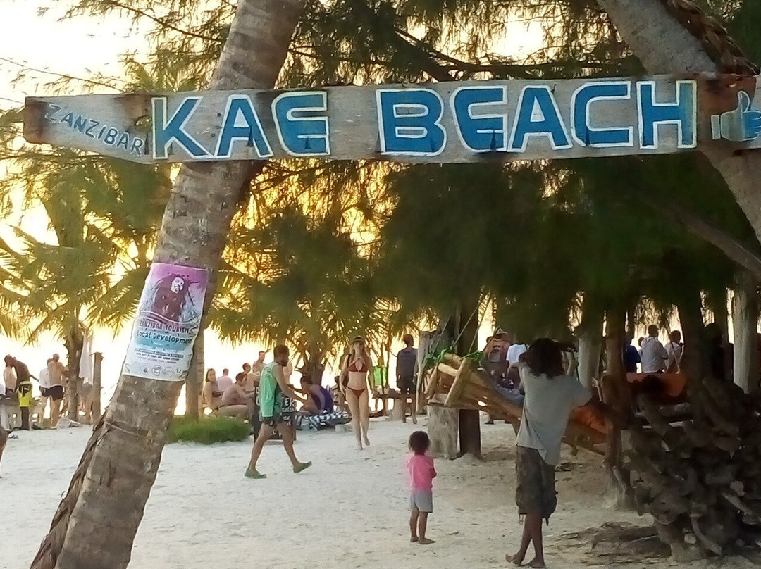 Juma Zanzibar Tours and Safari-Kizimkazi必去景点