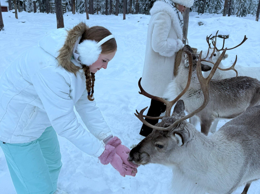 Reindeer Cottage景点图片