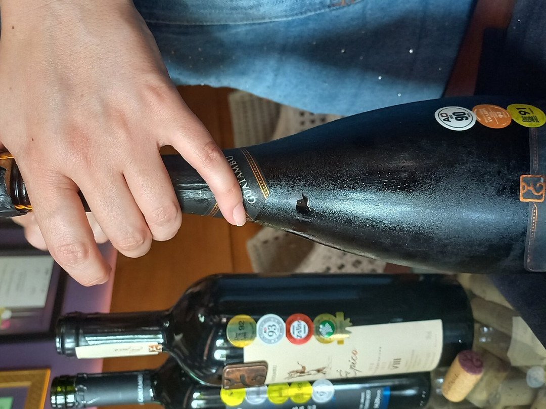 Guatambu Estancia do Vinho-Dom Pedrito必去景点