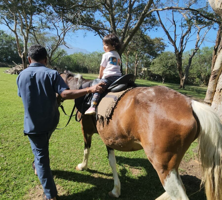 Bamboo Banks Farm Guest House主图