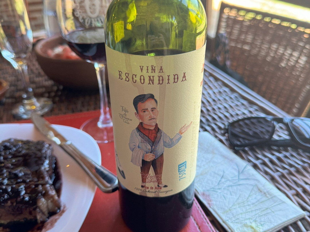 Vina Escondida de Colchagua景点图片