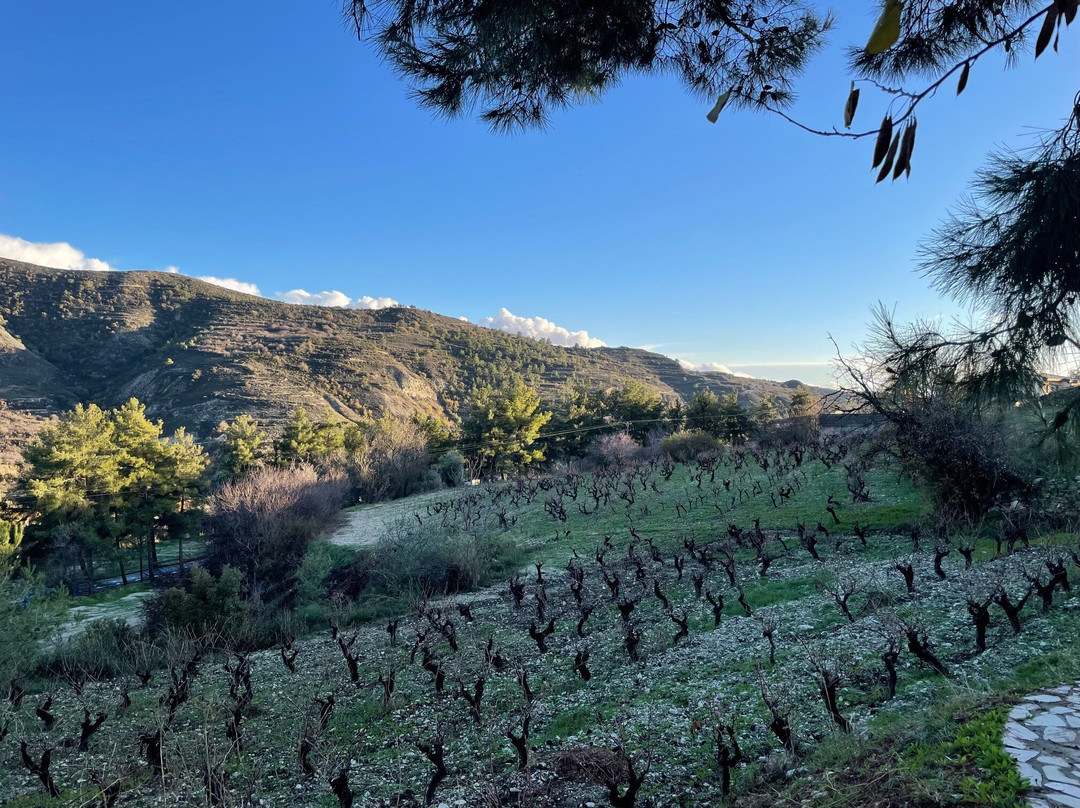 Cyprus Taste Tours - Limassol-利马索尔必去景点