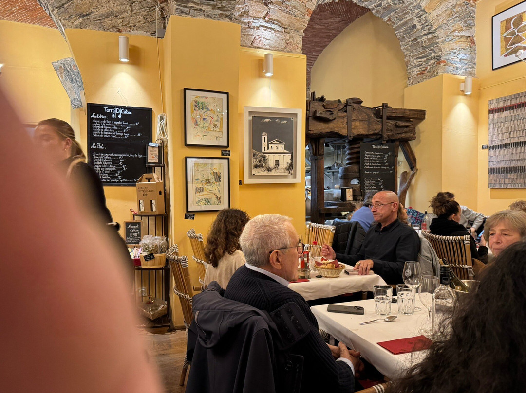 Domaine Terra di Catoni景点图片
