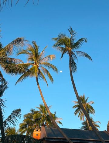 Le' VIVA Resort Mui Ne-浴室