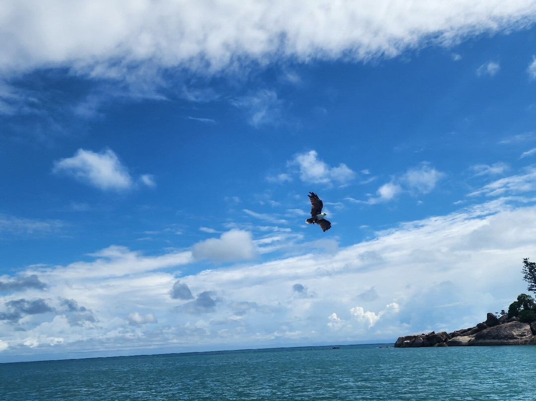 Magnetic Island Time Cruises-Horseshoe Bay必去景点