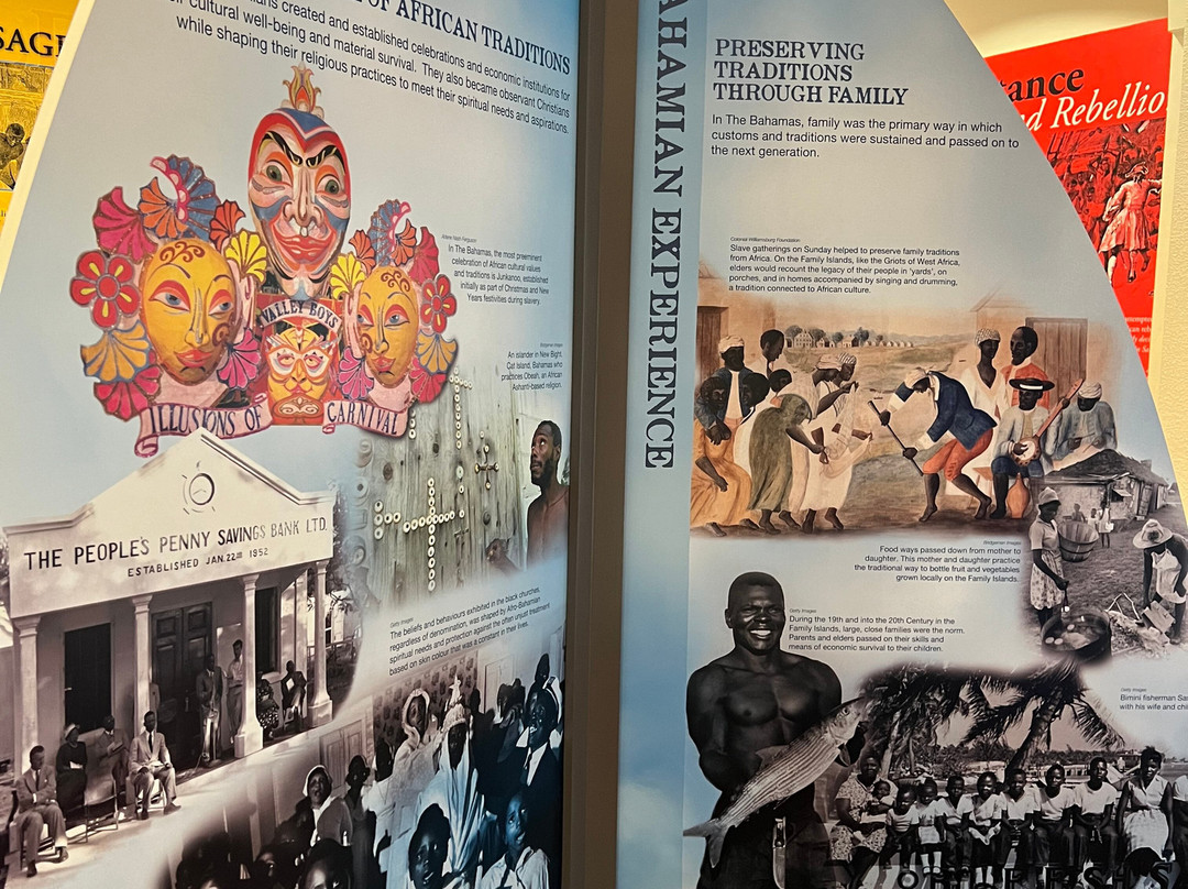 Pompey Museum of Slavery & Emancipation景点图片