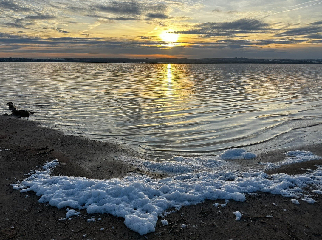 Laguna Salada de Torrevieja景点图片