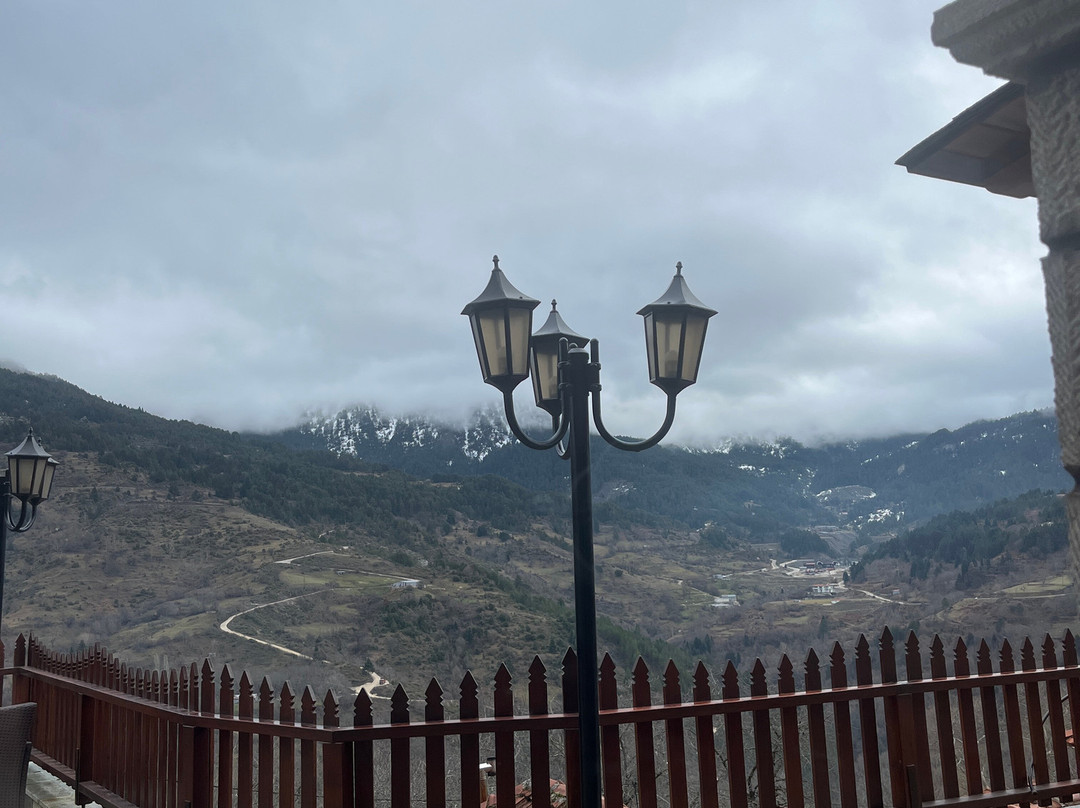 Archontiko Metsovou Boutique Hotel主图