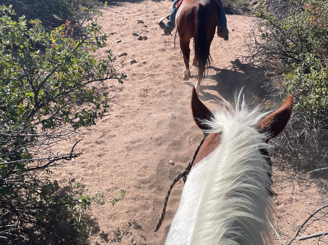 Grand Canyon Western Ranch-Meadview必去景点
