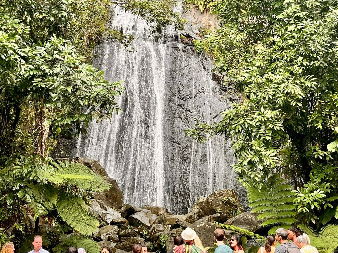 Catarata La Coca-云盖国家森林公园必去景点