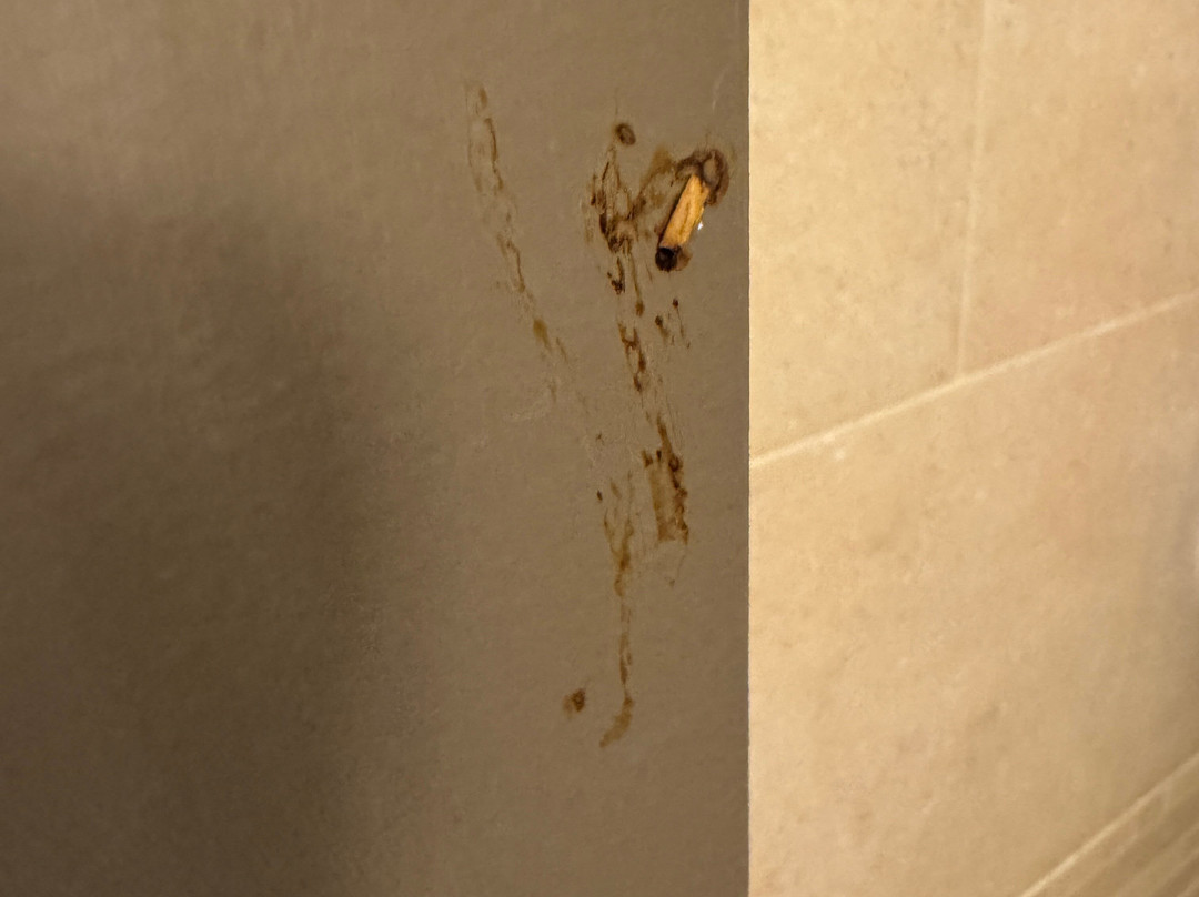 麦当劳坎帕斯凯悦酒店主图