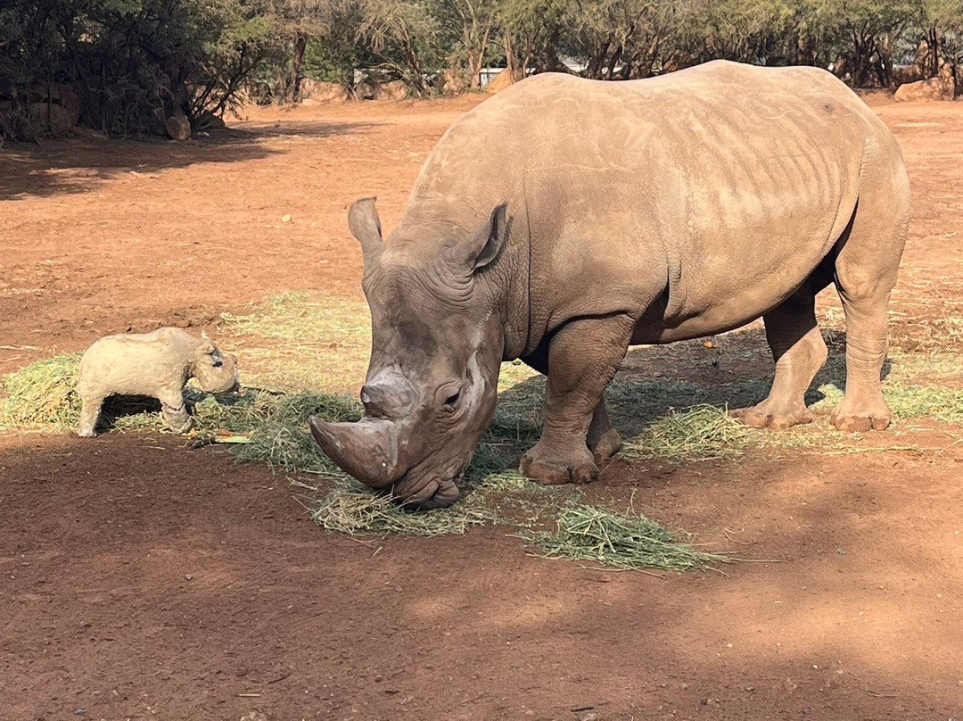 Jardin Zoologique de Rabat-拉巴特必去景点