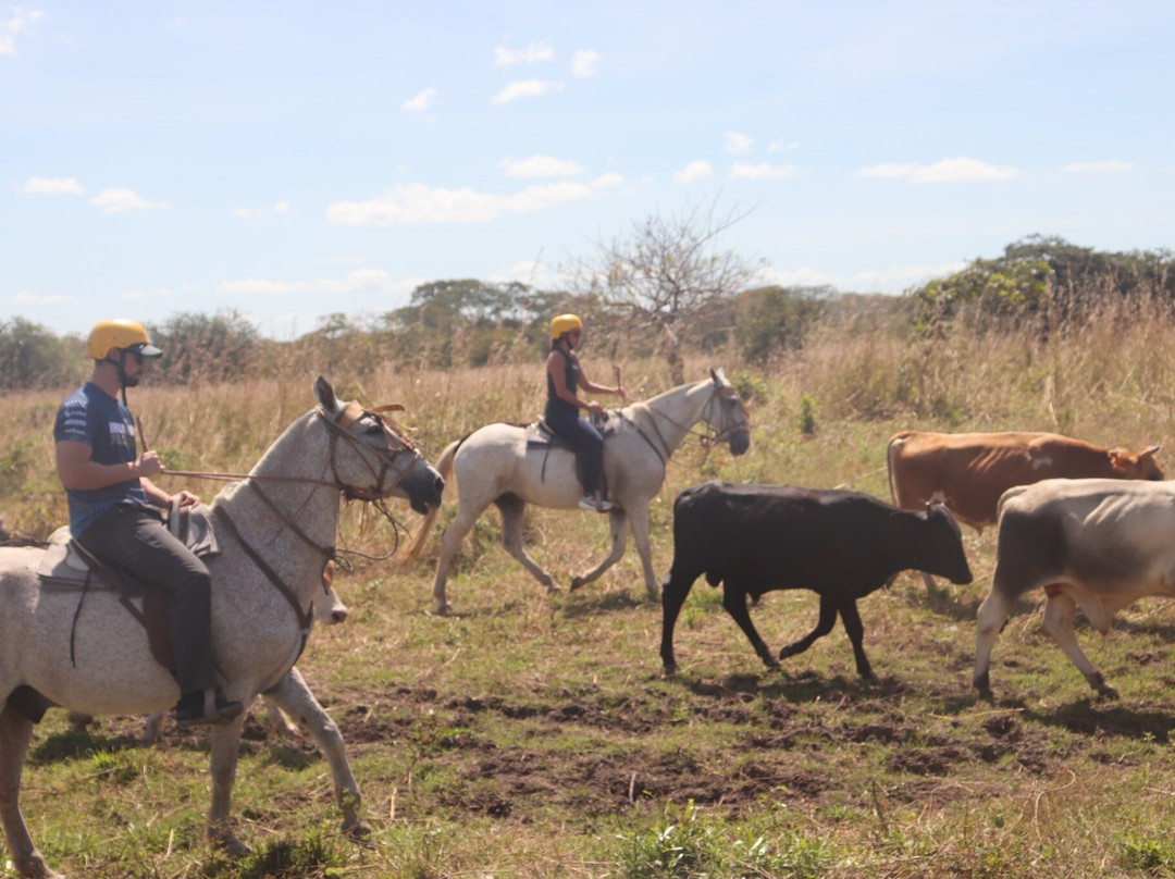 Hacienda Aromal-Comunidad必去景点