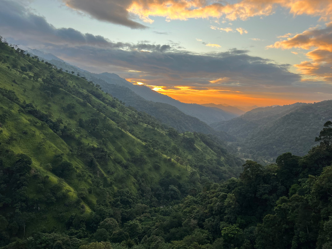 Monkey Tours Sri Lanka景点图片