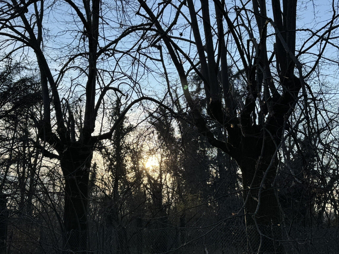 Parco Del Ticino景点图片