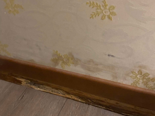 阿多布兰德斯齐酒店主图