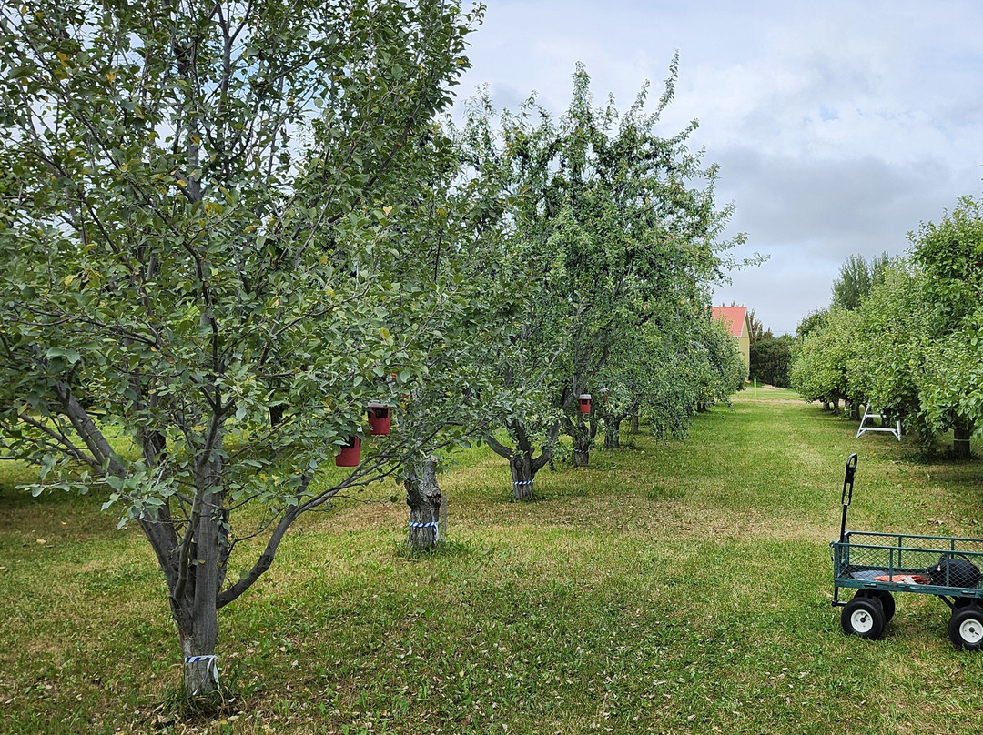 Les Vergers Du Cap-Cap-Saint-Ignace必去景点
