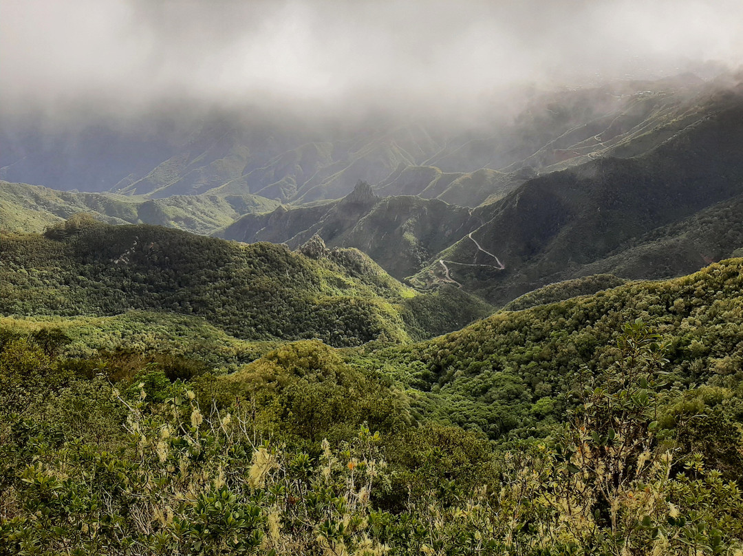 Mirador Pico del Ingles-拉古纳的圣克里斯托波尔城必去景点