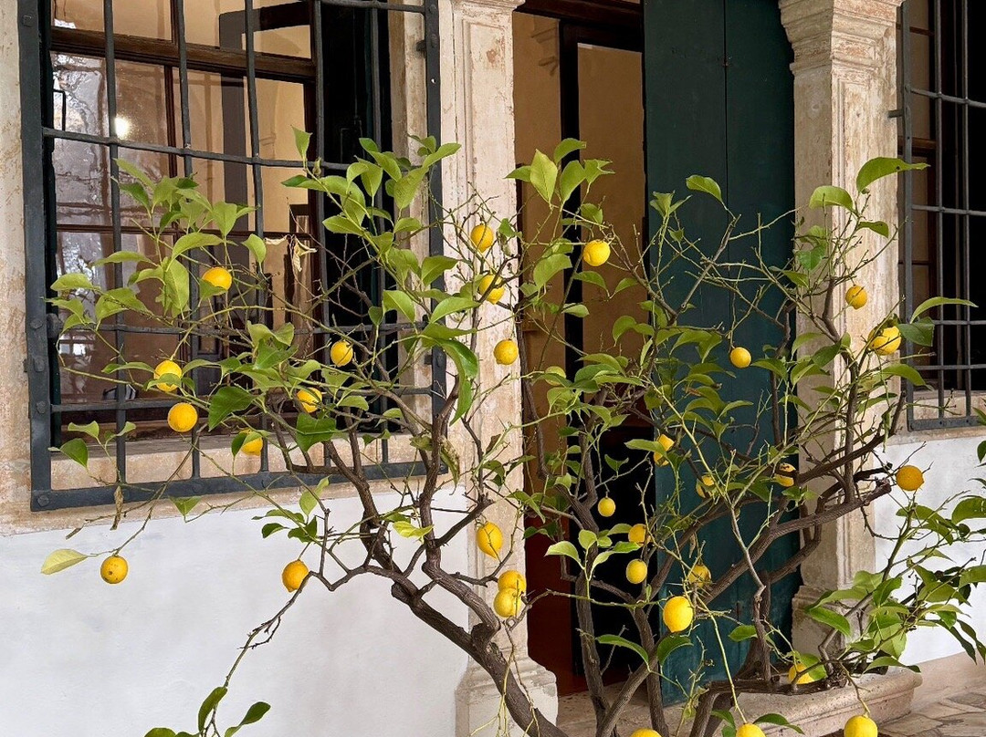 Carmignano di Brenta酒店住宿-B&B Dal Vicere